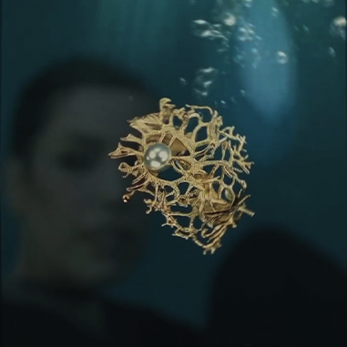 Coleção Infinito Singular