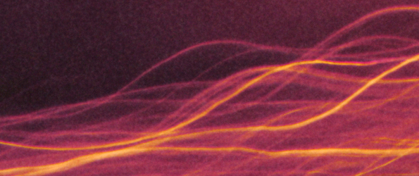 Metamorfose Inspiration image